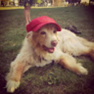 Meet your Posher, Avery